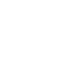 Plagiarism-Free Work Icon